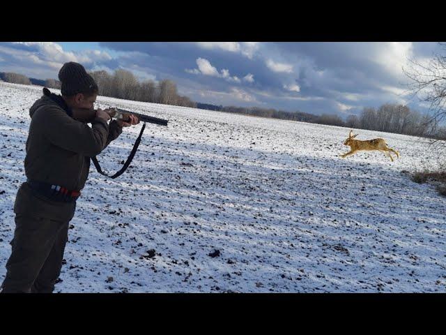 Охота на Зайца по Первому Снегу!!! Полубелый Сидит до последнего.