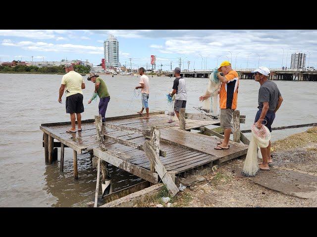 Pesca de camarões, 05-02-23, Vídeo 1, Trapiche, Tramandaí, com tarrafas de argolas (shrimpfish-Br).