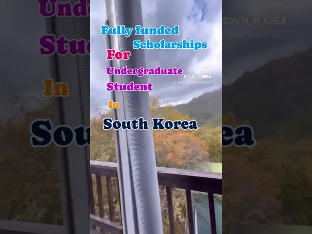 Fully Funded scholarships for undergraduate students in South Korea.  #scholarships #southkorea