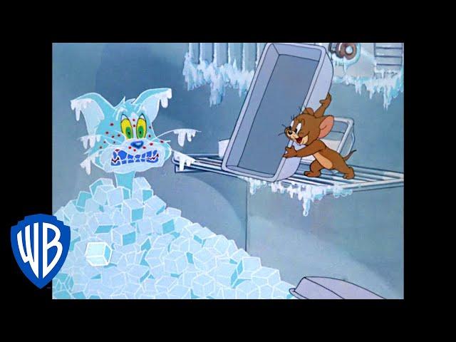 Tom & Jerry | Is Jerry Taking Care of Tom? | Classic Cartoon | WB Kids