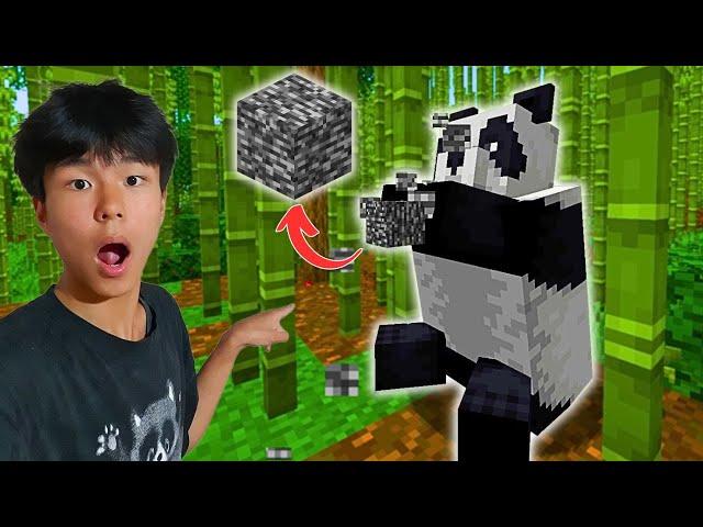 Minecraft-ийн эргэлзмээр цуурхалуудыг шалгав