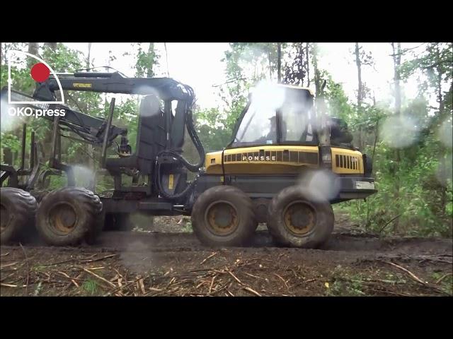 OKO.press przedstawia: Leśny rajd harvestera