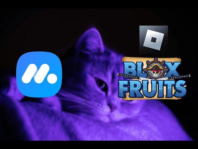 REWORK | How to install MuMu Player 12 to run Blox Fruits Script