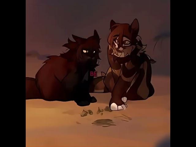 LEAFPOOL || Warrior Cats edit || #Leafpool #Crowfeather #Hollyleaf #warriorcats  #edits #fyp