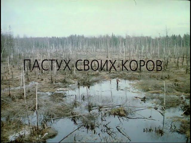 Пастух своих коров (2002)