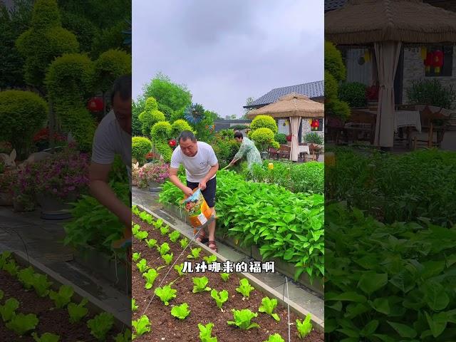 父母对我们有恩，退休后回到农村小院一起生活，在这属于两代人的养老小院#温馨小院 #退休生活#小芳夫妇#向往的生活#最美花园庭院