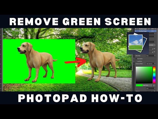 How To Remove Green Screen - PhotoPad Tutorial