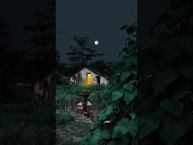 Peaceful Countryside Night  #nature #naturebeauty #moonlight #explore #relax #village #place #night