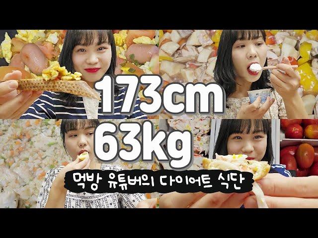 173cm 63kg 먹방 유튜버의 다이어트 식단 근데 이제 코끼리 밥을 곁들인,,(점심 도시락, 초간단 레시피, 다이어트 간식, 일상 먹방 요리 브이로그)