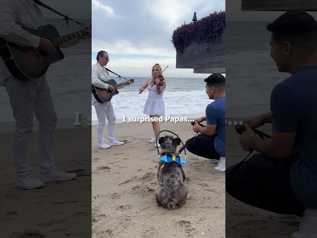 I gave a BLIND DOG the BEST DAY EVER ️