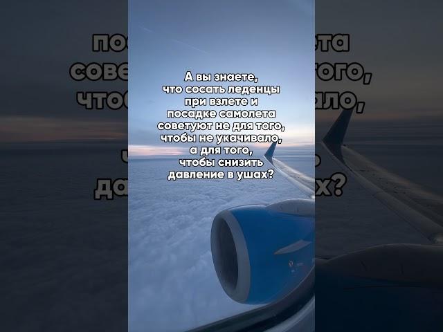 Ответ в тг: Блог Глеба и зрелищ. Ссылка в закрепленном комментарии. #авиа #полет #путешествия