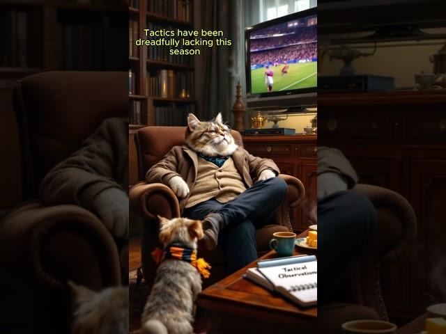 Epic Football Win with Professor Whiskerstein & His Dog - CatTheProfessor #youtubeautomation