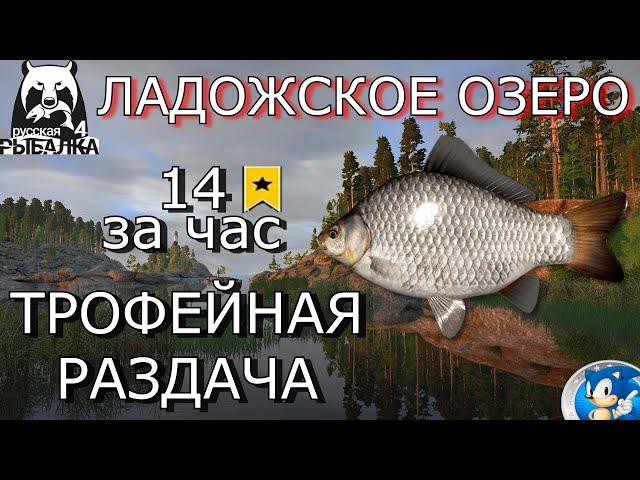 ЛАДОЖСКОЕ ОЗЕРОТРОФ КАРАСЬ СЕРЕБРЯННЫЙРусская Рыбалка 4(РР4)