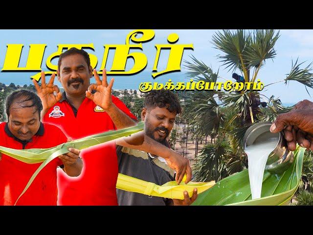 இப்படி பதநீர் குடிச்ச அனுபவம் உண்டா! | WFT Vlog