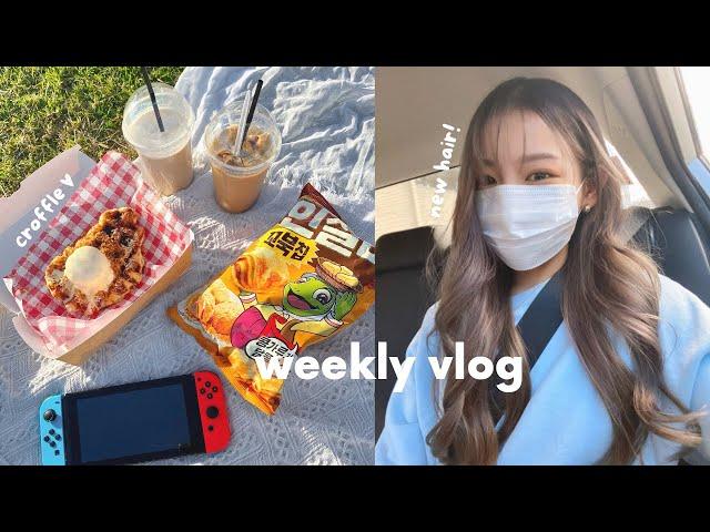 vlog | new hair, rosé tteokbokki, asian supermarket  croffle, pre-lockdown picnic 