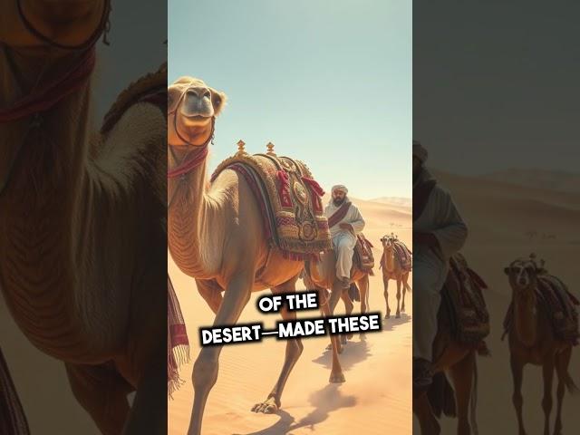 How Ancient Trade Routes Like the Silk Road Shaped Our World 