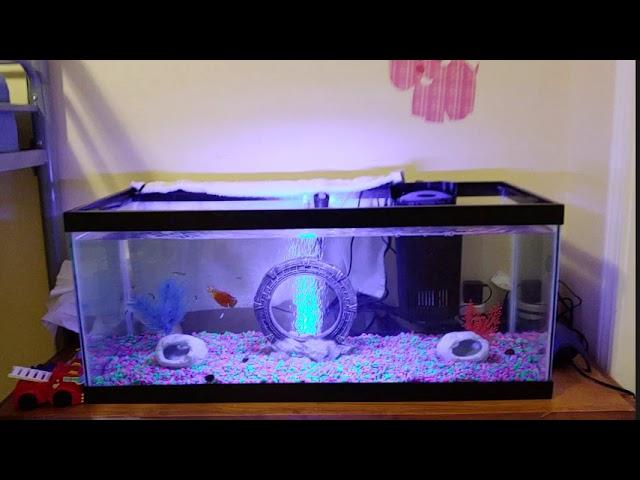 Review Of The Tetra Glofish Cycle LED Light