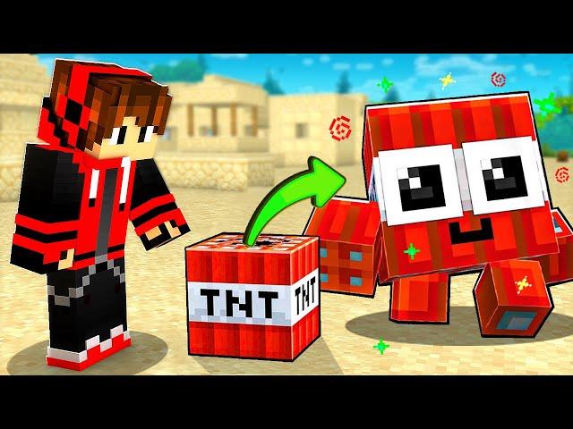 Minecraft, But  Every TNT Is A MOB !!!