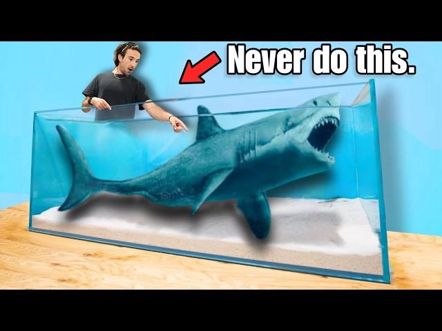 Buying the Scariest Shark I've Ever Owned Off The Web...