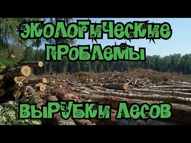 Экологические последствия вырубки лесов