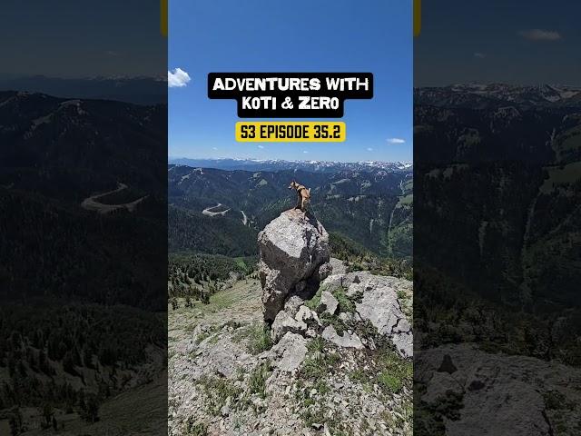 Adventures with Koti & Zero S3 Episode 35.2 #dailyvlog #naturelover #hikingadventures