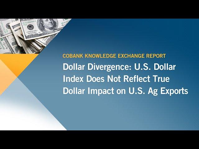 US Dollar Index Does Not Reflect True Impact on US Ag Exports | CoBank Knowledge Exchange Brief