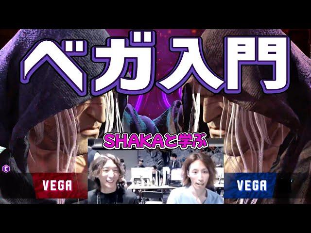 【スト６】SHAKAと学ぶ！  歴戦のベガ使いどぐら氏によるベガ入門講座