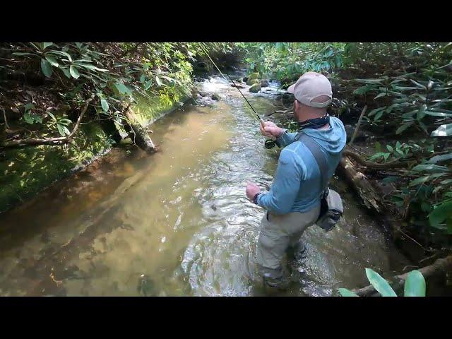 Blue Line Fishing for Southern Appalachian Brook Trout