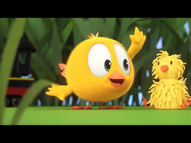 THE GARDEN | Where's Chicky? Funny Chicky | Cartoon Collection in English for Kids | New episodes