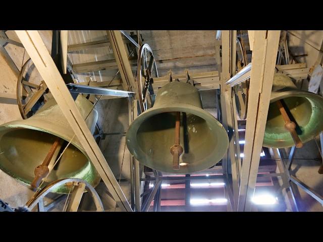 Rottweil (G - BW) The bells of St Francis Xavier parish church