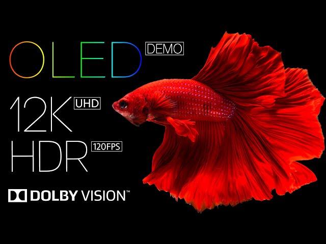 Ultimate Best 12K HDR 120fps OLED Dolby Vision Video for Eye Melting Quality