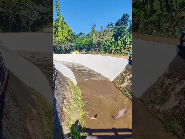 Suddenly Water Comes In Kerala Canal