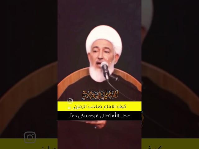 الشيخ فاضل الصفار...الامام عجل الله فرجه يبكي دماً