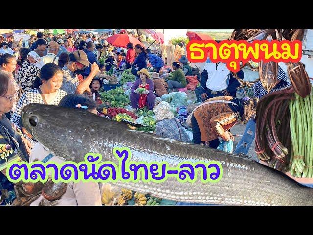 ตลาดนัดไทย-ลาว อ.ธาตุพนม สุดยอด แนวกินของป่าลาว แมงดา ปลาค่อ อาหารพื้นบ้านหลายคัก จ.นครพนม