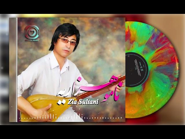 New Song Hazaragi Zia Sultani (Namo Hazaraya) Official | آهنگ هزارگي جديد ضيا سلطاني (نامو هزاريه)