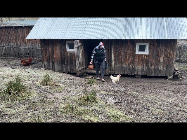 Rural life high in the mountains: cooking lunch, starting the way from egg to chicken