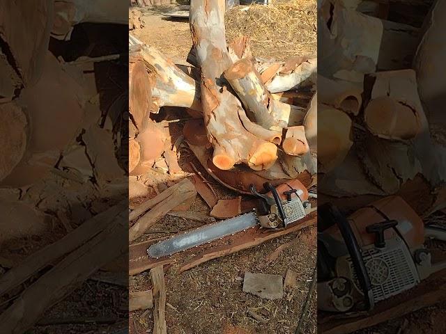 Bucking and Splitting Wood