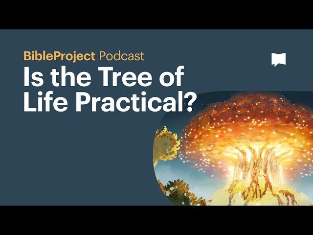 Is the Tree of Life Practical? - BibleProject Podcast