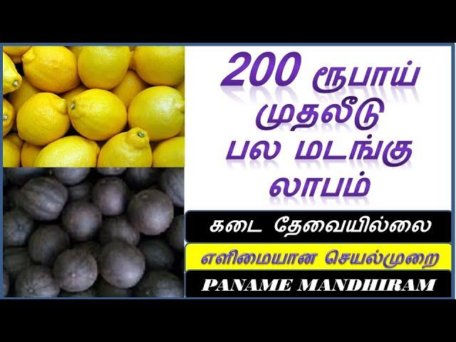 முதலீடு 200 ரூபாய் | பல மடங்கு லாபம் | Black Lemon business | tamil