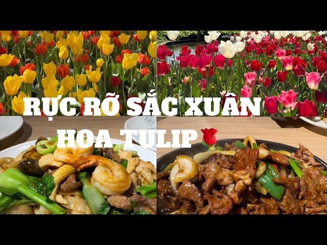 Đón mùa xuân rực rỡ sắc hoa tulips  . #flowers #festival