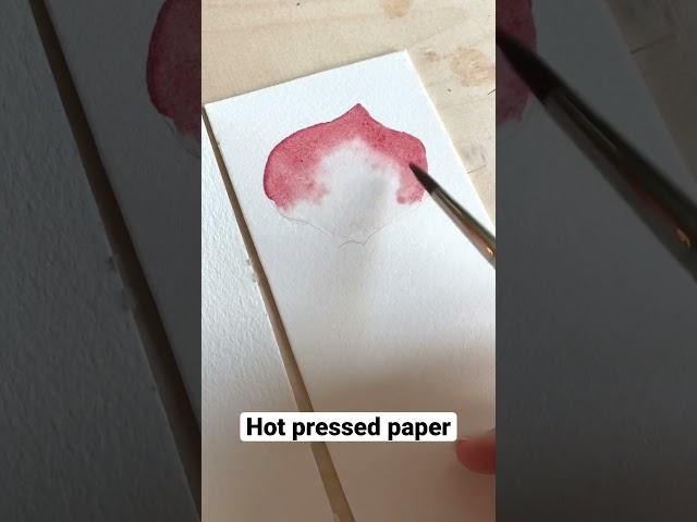 Comparing Cold pressed with Hot pressed paper #watercolortutorial #paintingtutorial #arttips