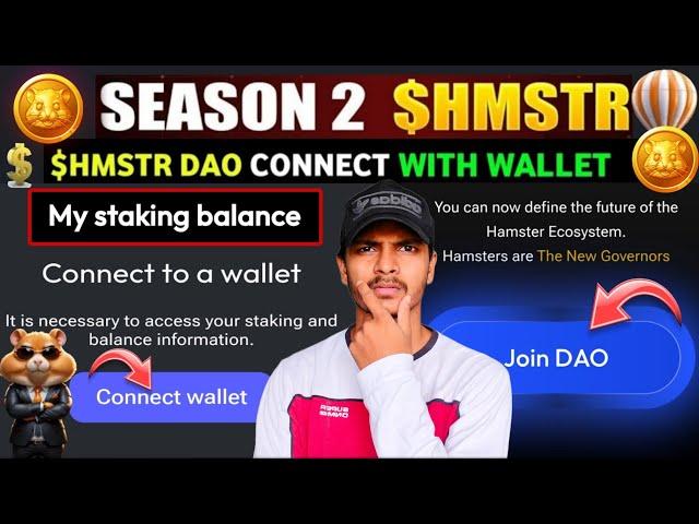 HOW TO CONNECT HAMSTER KOMBAT DAO WITH WALLET? | HAMSTER KOMBAT NEW DAO UPDATE