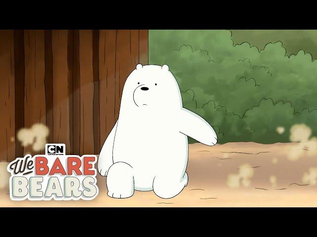 Ice Bear Shows Fighting Skills | We Bare Bears | Cartoon Network