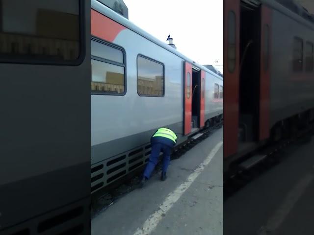 вот такие электрички ходят в Пензе.