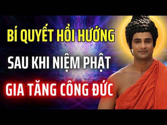 Hồi Hướng Sau Khi Niệm Phật - Bí Quyết Giúp Phật Tử Tu Tại Gia Tăng Công Đức