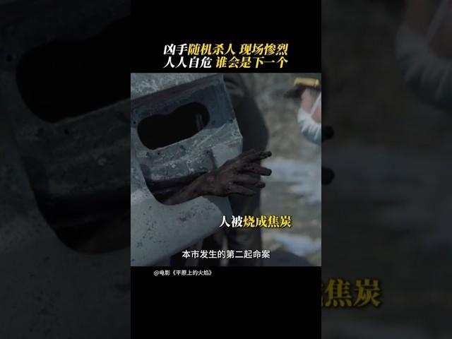 周冬雨 刘昊然《平原上的火焰》 2024悬疑电影|连环凶杀的凶手到底是谁？|梅婷 袁弘《平原上的摩西》出租车司机接连遇害的故事|3月8日上映 #电影 #電影 #movie #娱乐