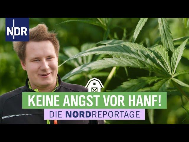 Hanf - Alte Nutzpflanze, neu entdeckt | Die Nordreportage | NDR