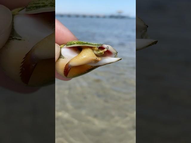 Впала в детство  Красное море. Хургада. Март 2025 г.