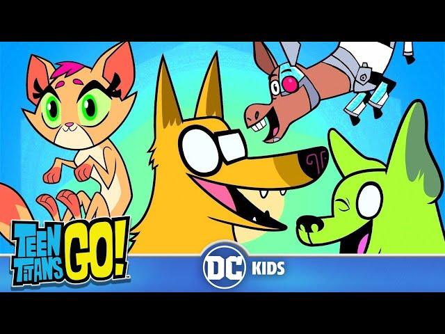 Teen Titans Go! Россия | Животные импульсы | DC Kids