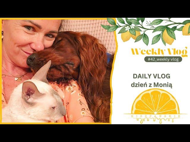 #112 DAILY VLOG dzień z Monią  WeeklyVlog